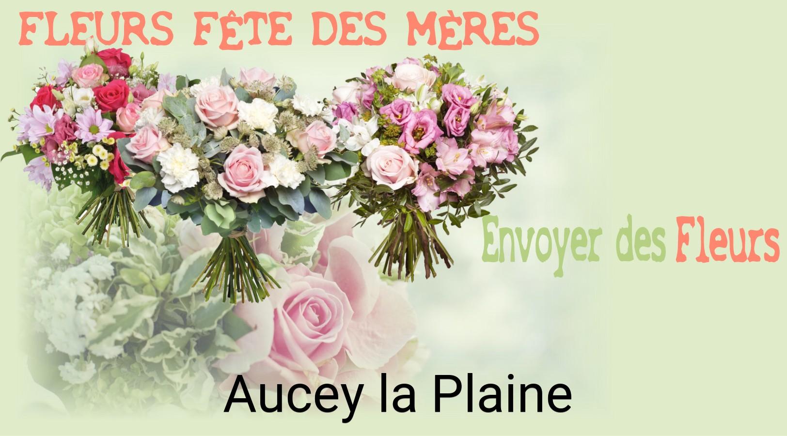 Bouquet de Fête des Mères livré à Aucey-la-Plaine
